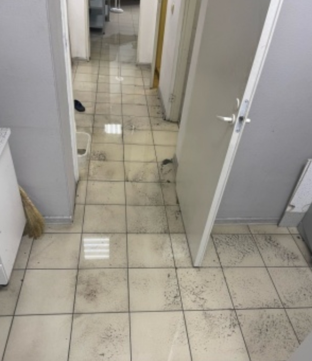 Портрет человека